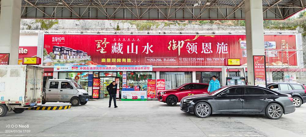 龍悅灣別墅宣傳三面翻廣告