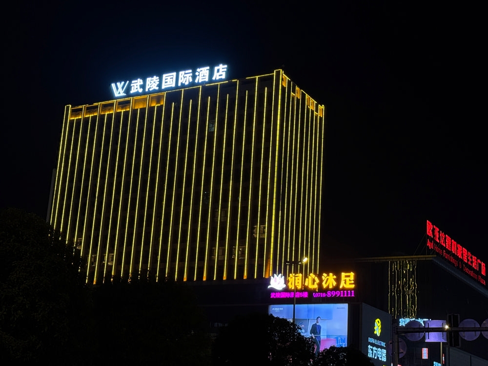 武陵國(guó)際酒店發(fā)光字2